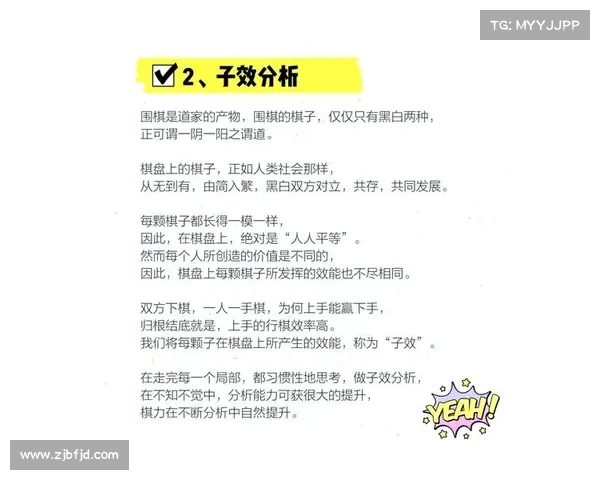 围棋名将丁伟的棋道人生与成就探析 围棋名将丁伟的棋道人生与成就探析